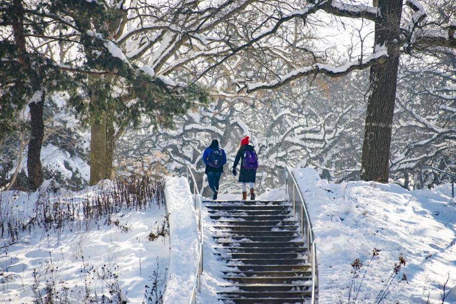 两名学生登上伯洛伊特学院校园里被雪覆盖的楼梯.